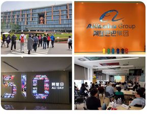 互聯網公司都在996 咱們去阿里 和ibm一探究竟